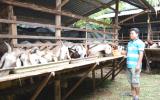 14 tuổi, nhà bể nợ, đi làm thuê, mua 1 con dê, giờ có tiền tỷ