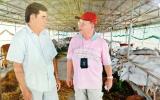 An Giang: Tỷ phú lắm đất, trồng chuối xuất khẩu, nuôi bò Tây to xác
