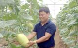 Anh thạc sỹ-nông dân này trồng dưa an toàn chỉ lo...