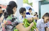 Chỉ khuyến khích sản xuất chưa đủ