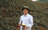 Đau xót cả nghìn tấn dứa trên cây bỗng dưng thối nhũn, vẫn chưa rõ nguyên nhân!?