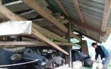 Đến Bắc Kạn học hỏi cách làm kinh tế mới mẻ và cực hiệu quả của bà con vùng cao