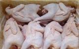 Gà Hàn Quốc bán đầy đường: Người nuôi cho thú cưng ăn?