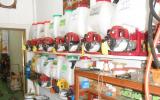 Gắn trách nhiệm trong cấp phép vật tư nông nghiệp