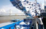 Gạo Việt chật vật cạnh tranh ở phân khúc chất lượng cao