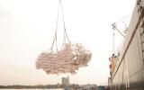 Giá gạo xuất khẩu cao nhất trong gần 3 năm qua