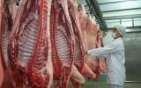 Giá heo hơi mới nhất 17/4: Người nuôi đang lãi 7.000 đồng/kg, thị trường ngừng 