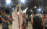 Giá heo hôm nay 7/1: Vẫn có cơ hội tăng đột biến lên 40.000 đ/kg, càng gần tết càng lo