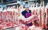 Giá lợn (heo) hơi hôm nay 21/12: Lợn lên 35.000 đ/kg, Cục Chăn nuôi có công văn chỉ đạo