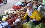 Giá ớt tươi giảm thê thảm, chỉ còn 18.000 đồng/kg
