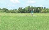 Giá phân bón rục rịch tăng