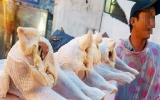 Giật mình: Gà không đầu, không chân bán la liệt giá chỉ 50.000 đ/kg