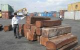 Gỗ nhập khẩu sẽ được phân loại, quản lý rủi ro