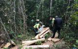 Hàng chục đối tượng bịt mặt, cướp... 2 khúc gỗ