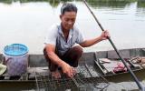 Kiếm vài triệu/ngày nhờ cho tôm, cua, sò huyết ở chung 1 ao