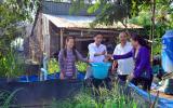 Kiêng Giang: Dân đổi đời nhờ nuôi lươn đồng trong bồn cao su