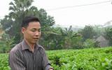 Kỹ thuật mới ươm trồng cao sản Chè đắng (phần 1)