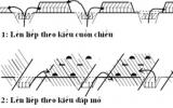 Kỹ thuật thiết kế vườn trồng bưởi da xanh