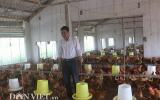 Lạ mà hay: cho 80.000 con gà chạy bọ trên cát, Điền 