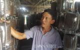 Làm giàu ở nông thôn: Kiếm hơn nửa tỷ từ trồng nấm sạch