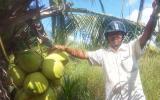 Làm giàu ở nông thôn: Làm đa canh nhanh có tiền