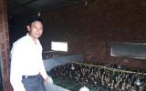 Làm giàu ở nông thôn: Nuôi 30.000 vịt bay như chim, lời nửa tỷ/năm