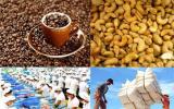 Mất đến 5 năm xuất khẩu nông sản chỉ tăng khoảng 200 triệu USD