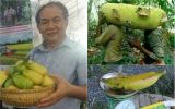 Mít dài cả mét, chuối nặng cả cân, bơ như quả bí: Không dám ăn mình