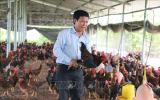 Một tỷ phú nuôi gà thả vườn được nhận Bằng khen của Thủ tướng