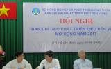 Năm 2017 giảm gần 52 ngàn tấn điều?