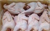 Nắm rõ dấu hiệu này, không lo mua nhầm gà thải loại độc hại