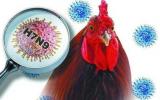 Ngăn chặn virus cúm A/H7N9 xâm nhập qua biên giới