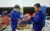 Người đưa thương hiệu giống gà ta Bình Định đi xa