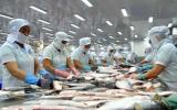 Nhu cầu xuất khẩu cá tra sẽ tăng khoảng 20% trong năm nay