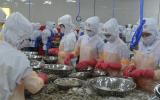Nỗ lực xuất khẩu tôm trở lại Australia