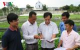 Nông dân Bình Thuận xây dựng thương hiệu rau an toàn