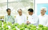 Nông nghiệp công nghệ cao: Chính sách nhiều, thụ hưởng thực tế rất ít