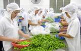 Nông nghiệp tăng trưởng cao nhất trong 3 năm, xuất khẩu đạt kỷ lục