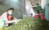 Phát hiện gần 3 tấn nguyên liệu trà không rõ nguồn gốc
