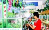 Sản xuất an toàn nâng cao giá trị nông sản
