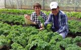 Trang trại rau organic độc đáo dưới chân núi Voi