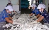 Xứ dừa Bến Tre phải nhập dừa vì thiếu nguyên liệu