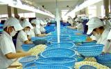 Xuất khẩu hạt điều phụ thuộc lớn nguyên liệu nhập khẩu