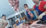 Xuất khẩu heo sang Campuchia 