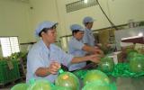 Xuất khẩu nông lâm thủy sản tăng nhờ rau quả