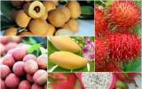 Xuất khẩu rau quả vẫn còn 'nút thắt'