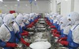 Xuất khẩu thủy sản sẽ cán mốc 8 tỷ USD?