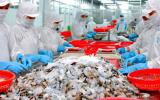 Xuất khẩu tôm có thể tăng mạnh trong những tháng cuối năm