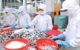 Xuất khẩu tôm sang EU năm 2016 tăng khoảng 7,5%